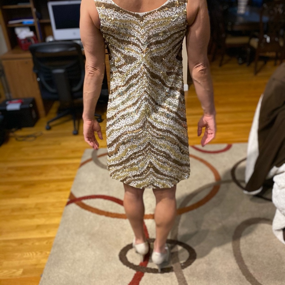 Cache dress - Picture 2 of 3